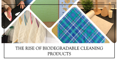 The Rise of Biodegradable Cleaning Products