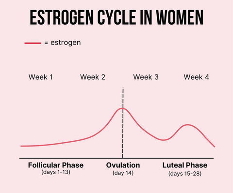 Changes in estrogen over the menstrual cycle.