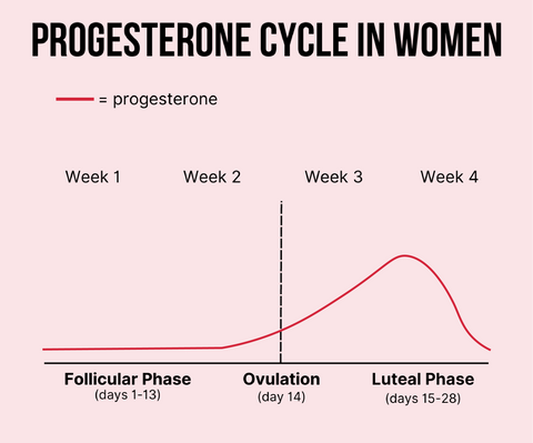 progesterone cycle