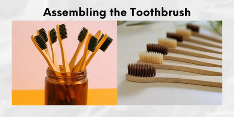 toothbrush assemble