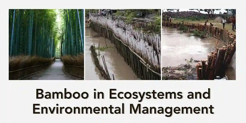 Bamboo Ecosystems and Environmental Management
