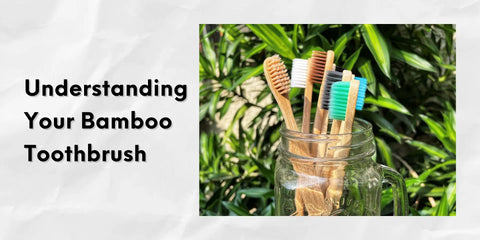 understanding bamboo toothbrush