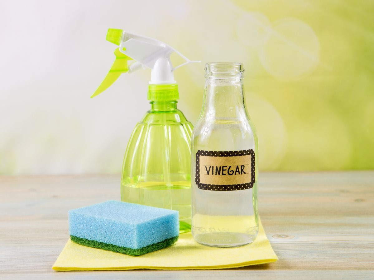 Use a solution of water and vinegar