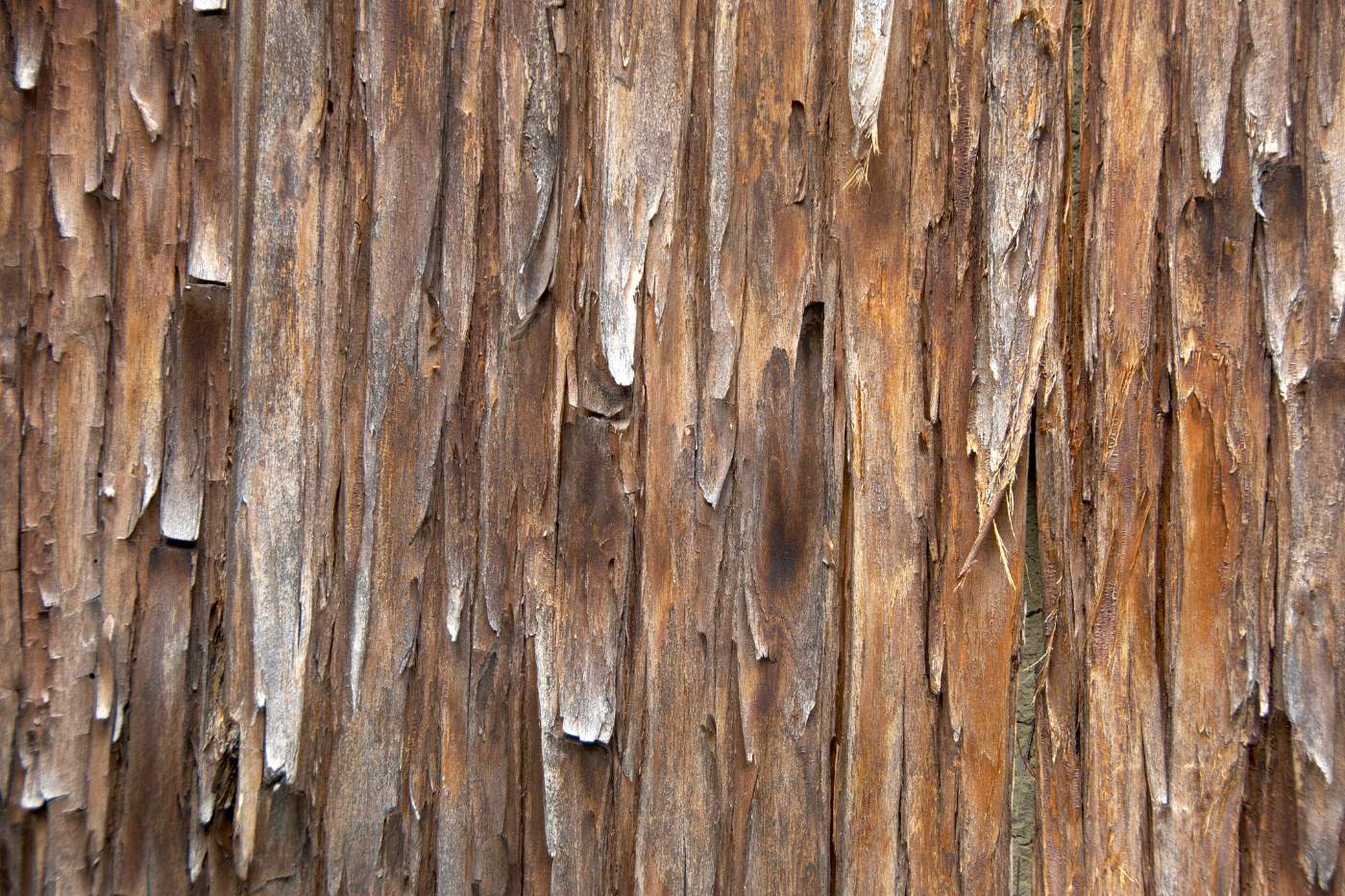 how cedar incense is made