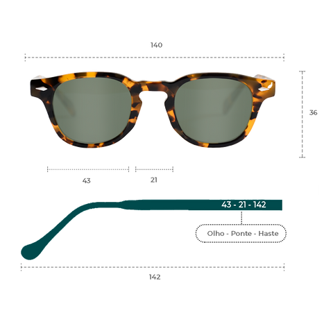 oculos-de-sol-oculos-de-acetato-gil-lançamento