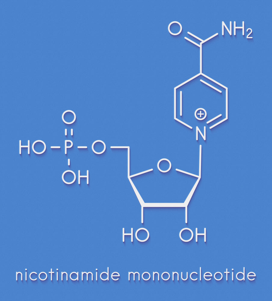 NMN for skin - NMN and Skin Health