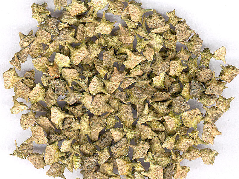 Tribulus terrestris "puncture vine" fruit (Organic) - TrancePlants ...