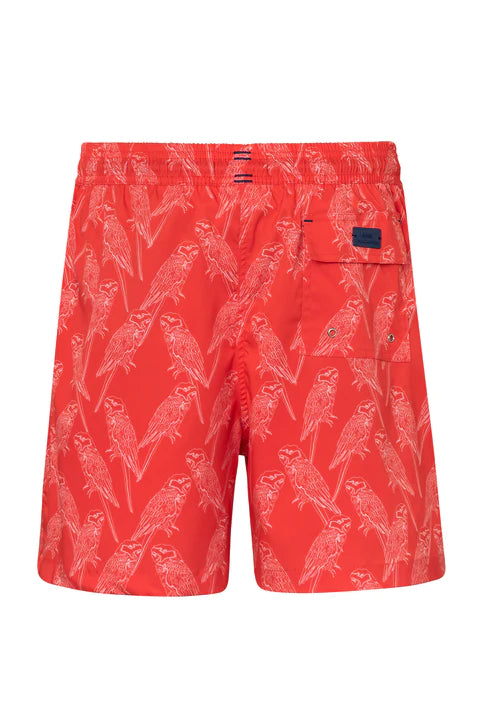 Bright Red Parrot Print Swim Trunks