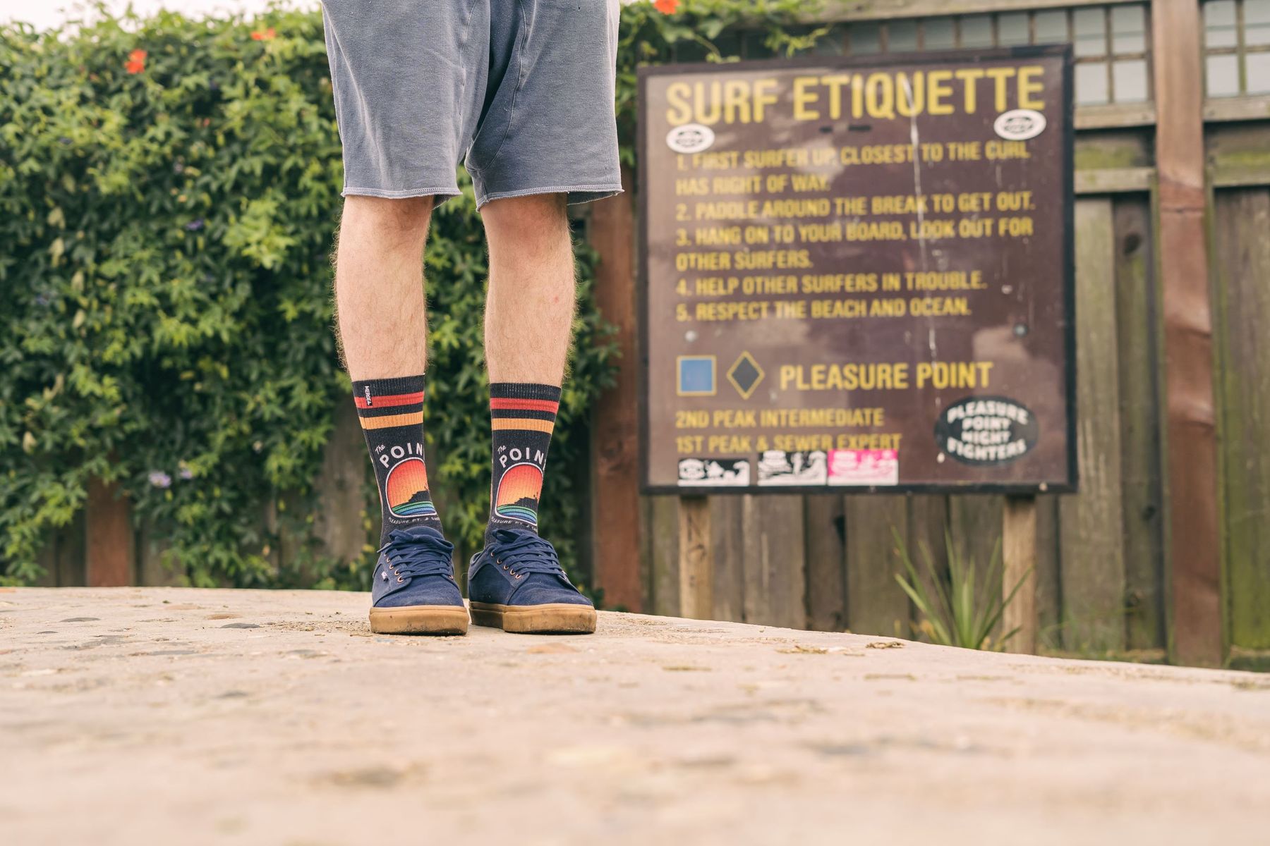 The Point Santa Cruz Socks