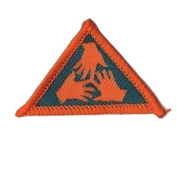 A guide to the badges of Scouting Ireland (Gasóga na hÉireann) : r