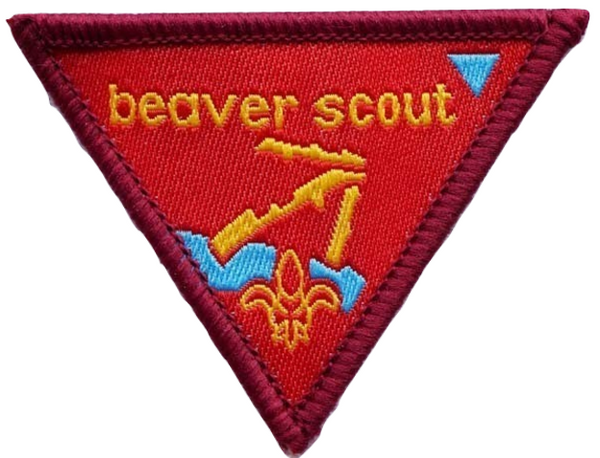 A guide to the badges of Scouting Ireland (Gasóga na hÉireann) : r