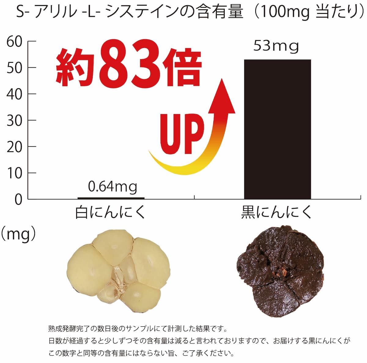 黒にくに含まれるS-アリルシステイン含有量