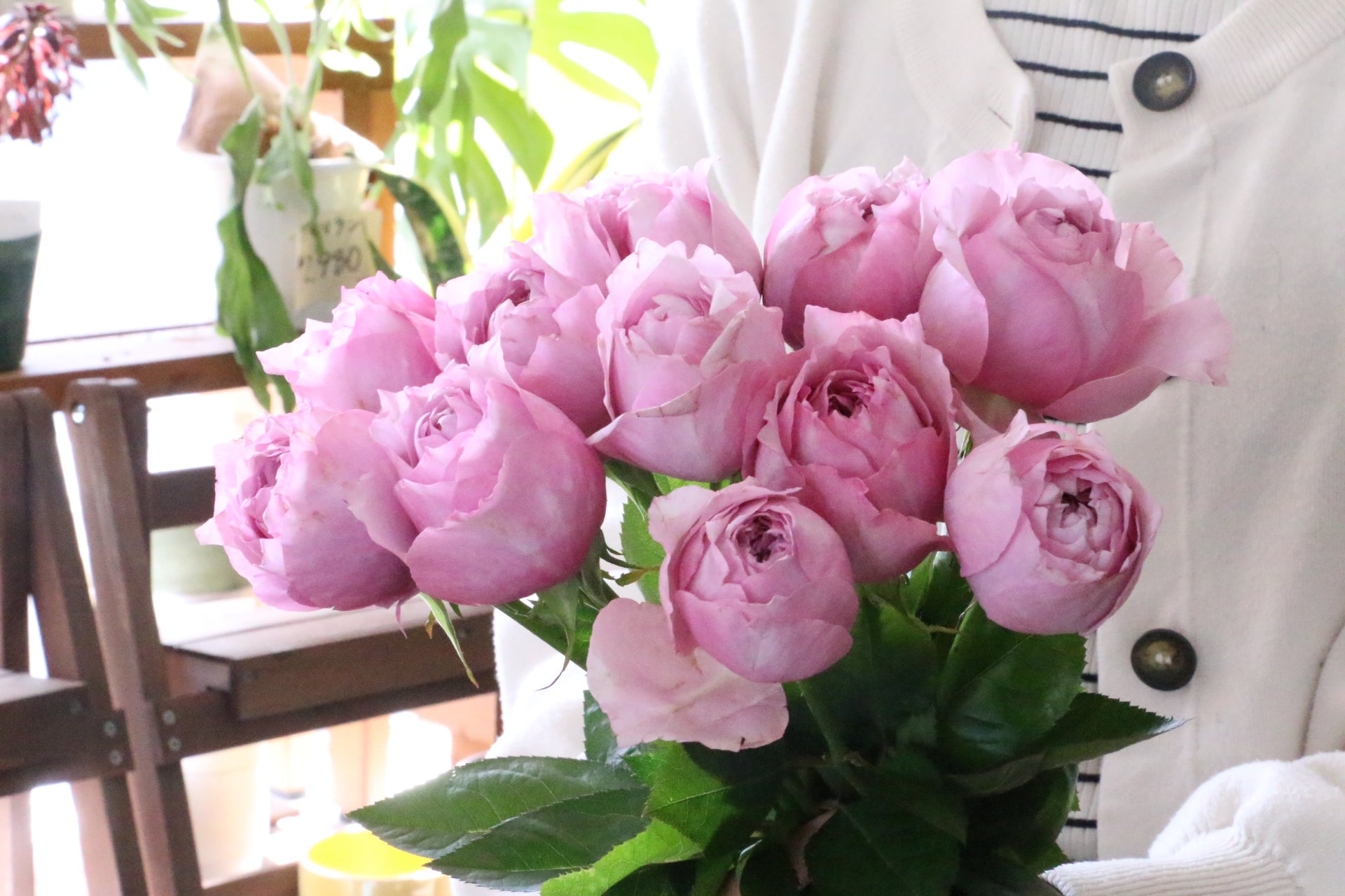 紫色のバラの花束