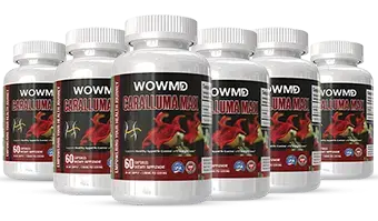 caralluma-max-6-bottles