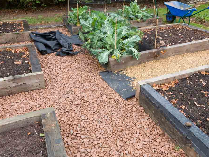 Raised Garden Beds