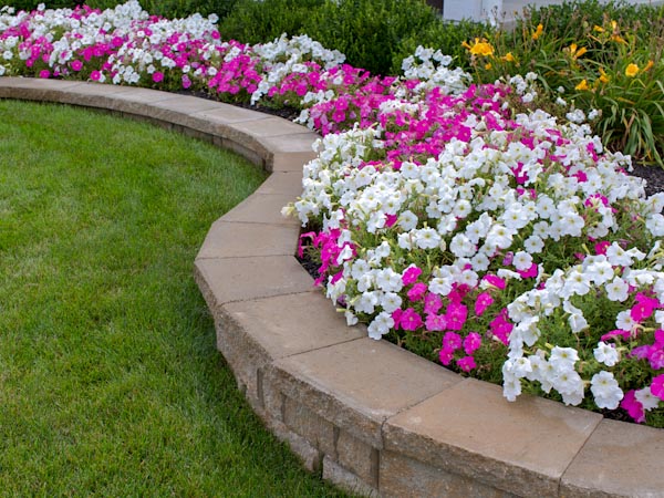 Garden Bed with Flowers