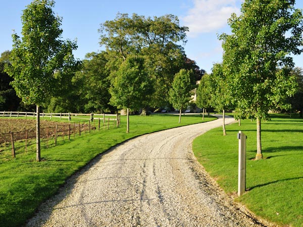 Finished Driveway