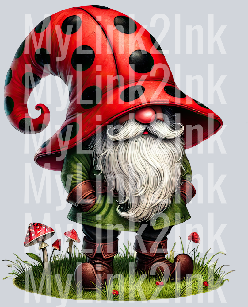 Ladybug Gnome 5