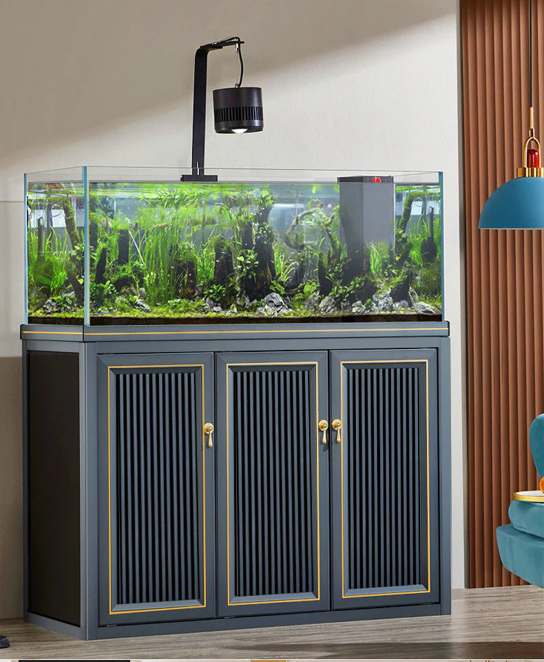 185-gallon coral reef aquarium with black stand in modern living room