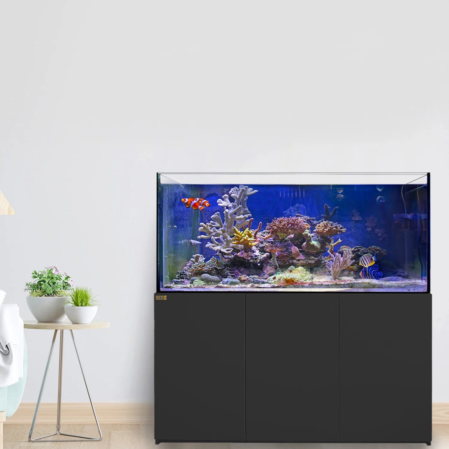 185-gallon coral reef aquarium with black stand in modern living room