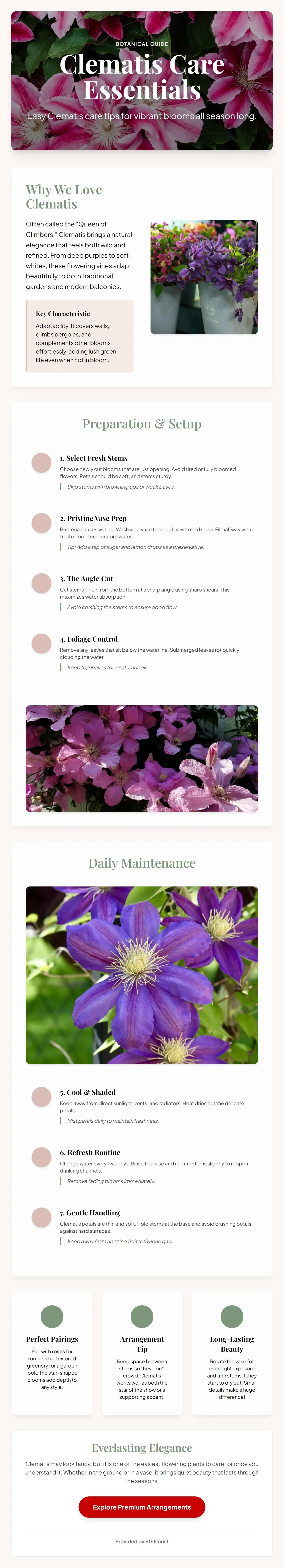 Clematis Flower Care