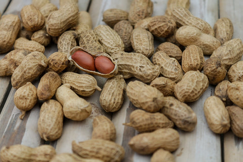 Alergi terhadap kacang atau peanut dialami bagi sebagian orang