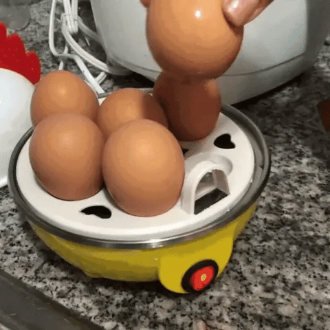 Hervidor Eléctrico Para Huevos Modelo Gallina