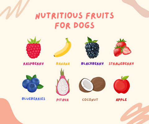 Infographic with the title "Nutritious fruits for dogs". Then the following fruits are listed next to their picture: raspberry, banana, blackberry, strawberry, blueberry, Pitaya, coconut, and apple.