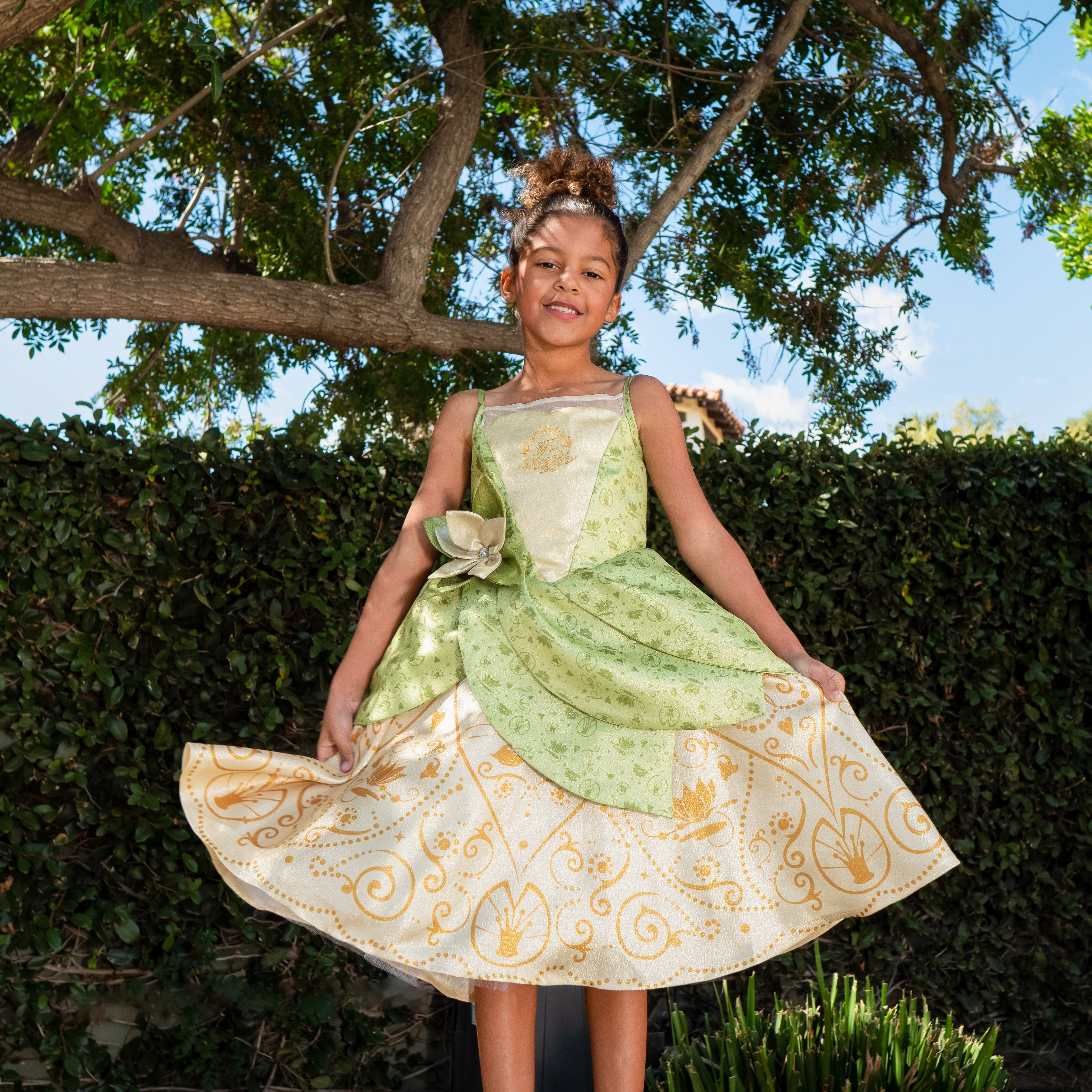 Disney Princess Tiana Premium Washable Dress Up - Size 5/6 image number null