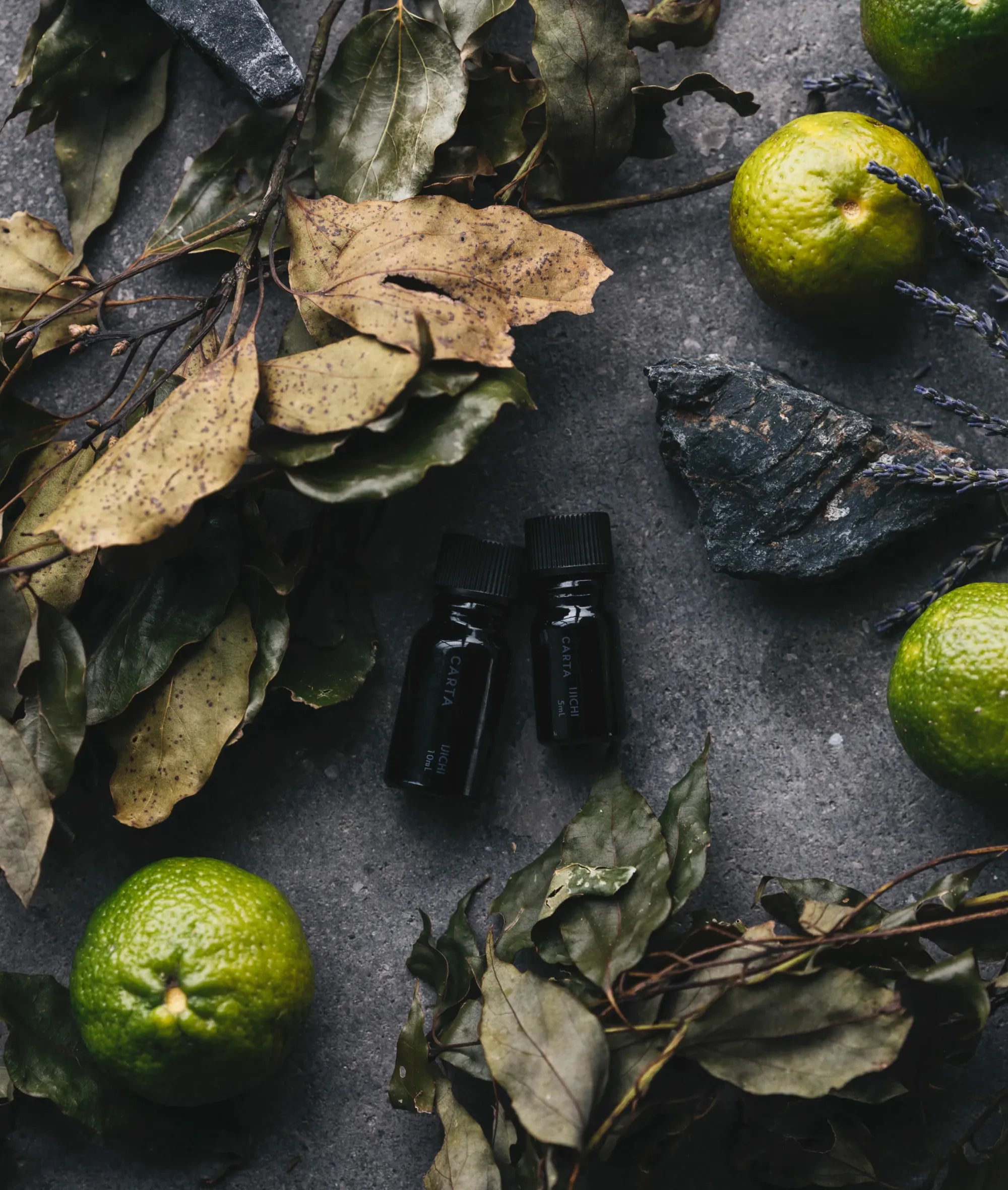 product-scene-content11.webp__PID:f2ae7e15-53d8-4cab-ab08-b3da778fbde8