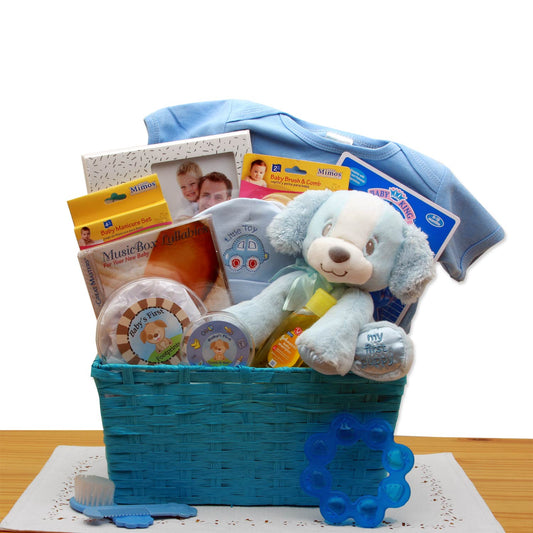SPECIAL DELIVERY FOR THE BABY GIFT BASKET
