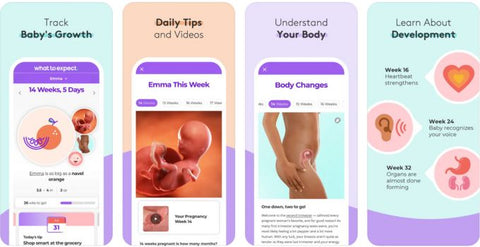 Screenshots of Pregnancy and Baby Tracker WTE pregnancy app