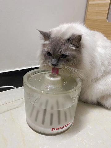 Automatic Pet Water Feeder