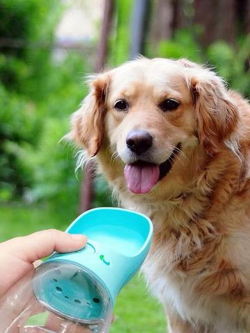 Classic Outdoor Pet Water Bottle2