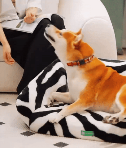 Fuzzy Stripe Washable Dog Bed3