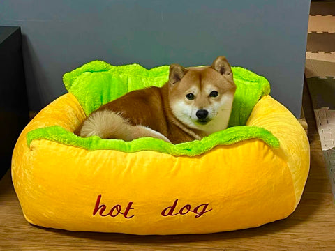 Hot Dog Dog Bed With Bolsters 3