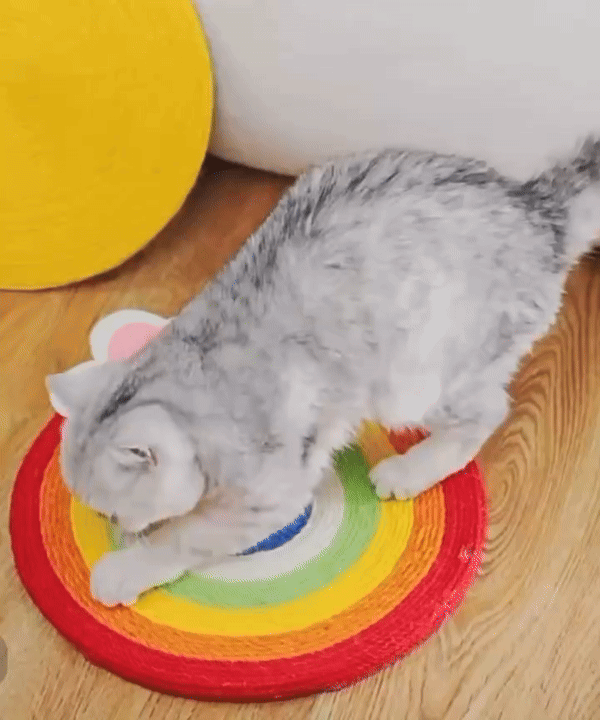 Rainbow Sisal Cat Scratching Board3