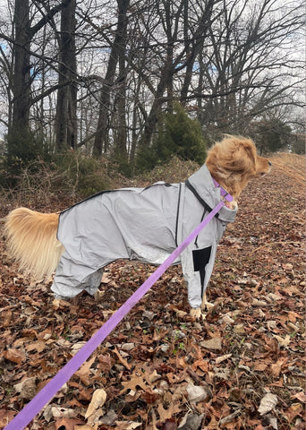 Reflective All-weather Space Coat Waterproof Dog Raincoat1