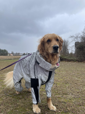 Reflective All-weather Space Coat Waterproof Dog Raincoat2