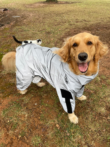 Reflective All-weather Space Coat Waterproof Dog Raincoat3