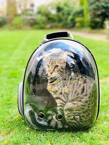 cat backpack