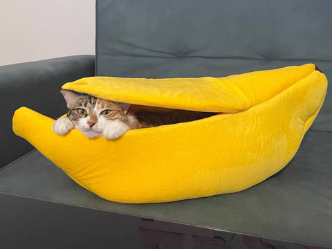 covered cat bed
