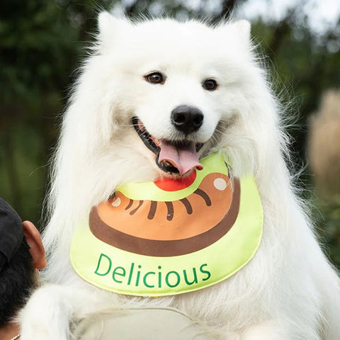 cute dog bandanas