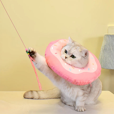 pet cone for cats