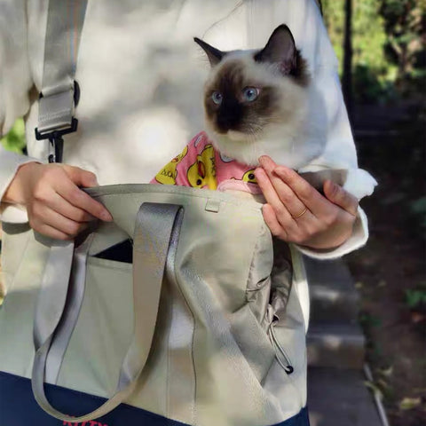 pet carrier bag