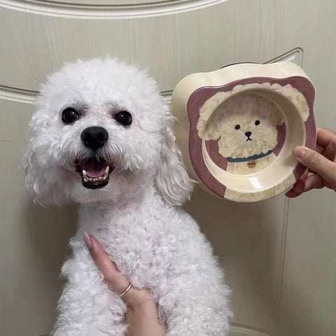 pet bowl