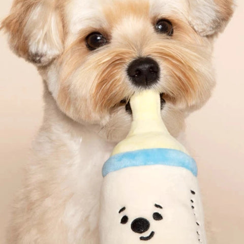 plush dog toy