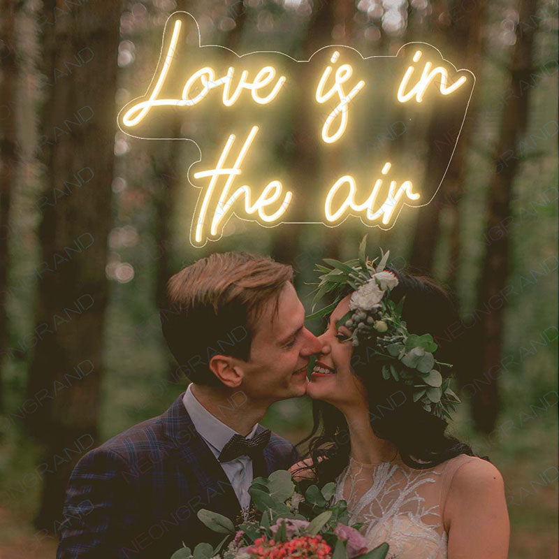 love is in the air neon sign