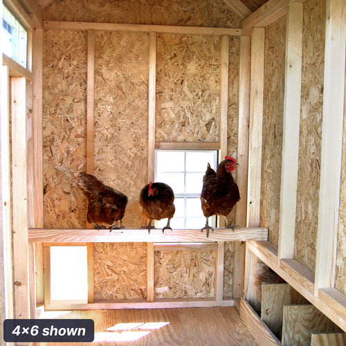4x6 Colonial Gable Chicken Coop Interior