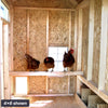 4x6 Colonial Gable Chicken Coop Interior